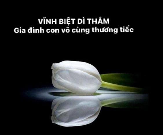 Trịnh Kim Chi, Vũ Hà, Đàm Vĩnh Hưng, Thanh Thảo