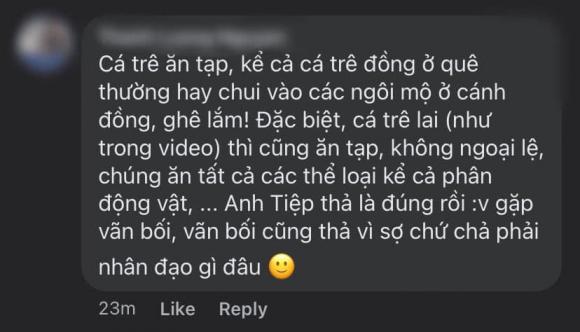 vũ khắc tiệp, phóng sinh, cá trê, ngọc trinh