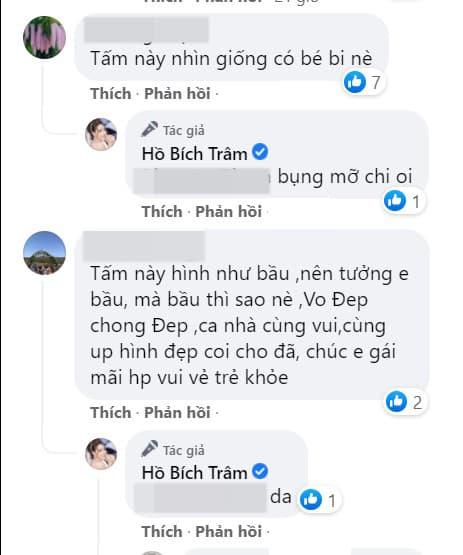 Hồ Bích Trâm, diễn viên Hồ Bích Trâm, sao Việt
