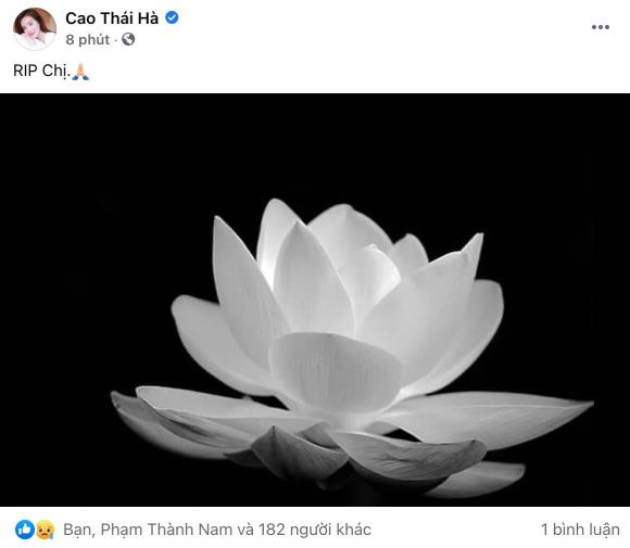 ca sĩ Phi Nhung, sao Việt, phi nhung qua đời, qua đời vì covid