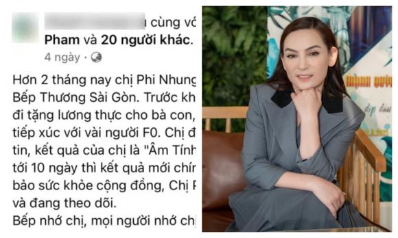 ca sĩ Phi Nhung, sao Việt