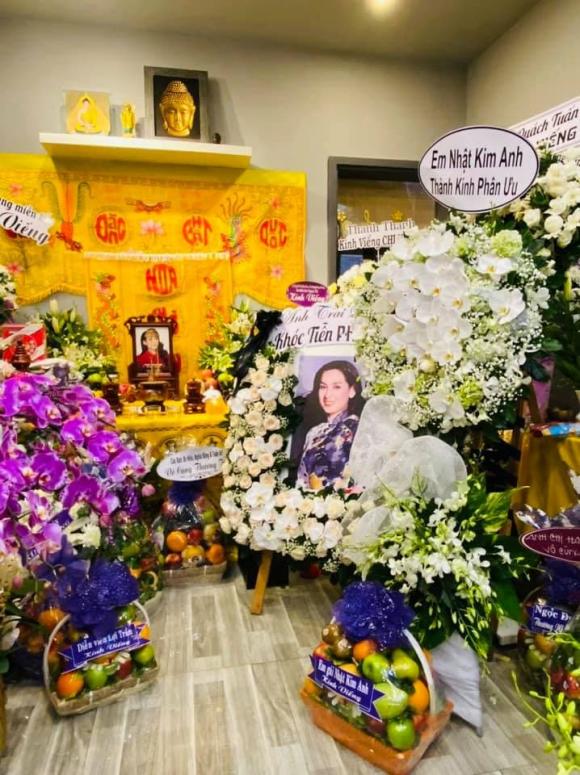 Ca sĩ Nhật Kim Anh, ca sĩ Phi Nhung, sao Việt