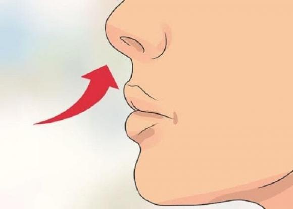lỗ mũi, thở bằng lỗ mũi, thở bằng 2 lỗ mũi
