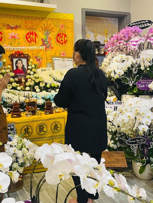 ca sĩ Phi Nhung, ca sĩ Hồ Văn Cường, sao Việt