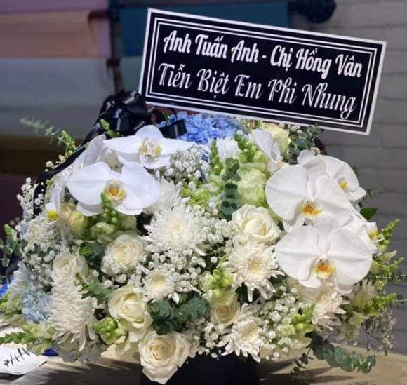 ca sĩ Phi Nhung, ca sĩ Hồ Văn Cường, sao Việt