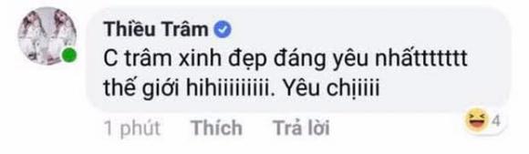 Thiều Bảo Trâm, nick ảo của Thiều Bảo Trâm, sao Việt