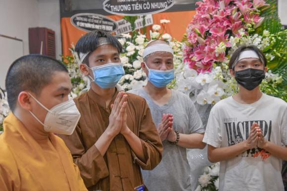 ca sĩ Phi Nhung, ca sĩ Hồ Văn Cường, sao Việt