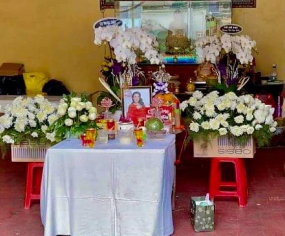 ca sĩ Phi Nhung, sao Việt