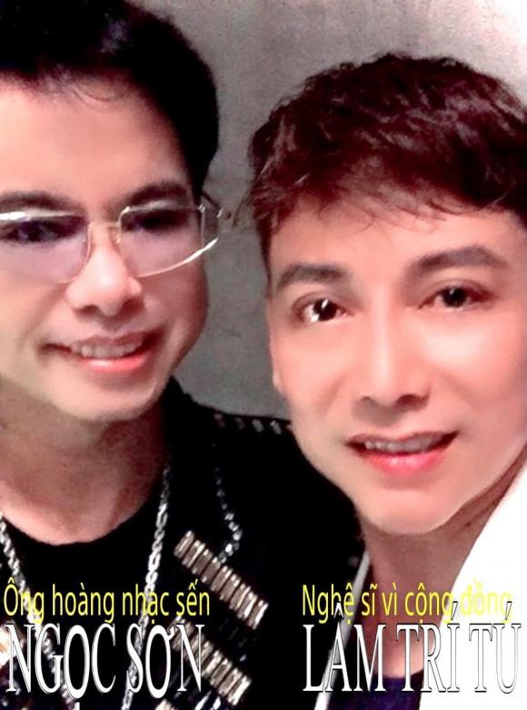 Lâm Trí Tú, Nghệ sĩ vì cộng đồng, Sao việt