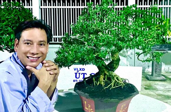 Lâm Trí Tú, Nghệ sĩ vì cộng đồng, Sao việt