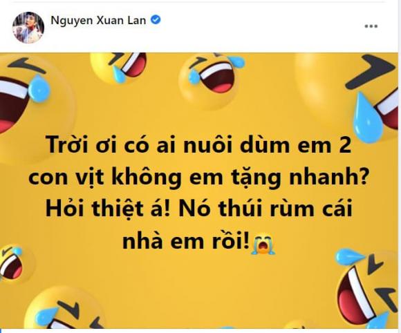 Xuân Lan, chồng Xuân Lan, sao Việt