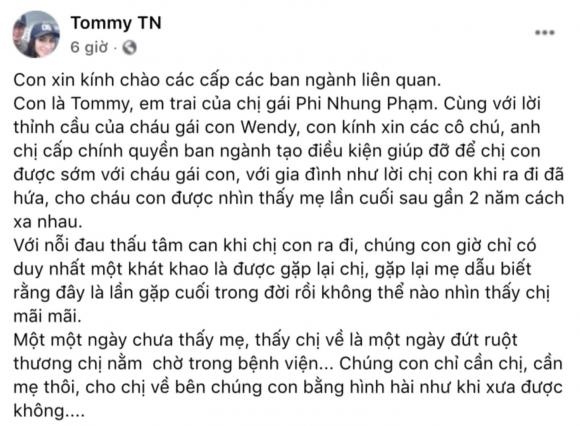 ca sĩ Phi Nhung, sao Việt
