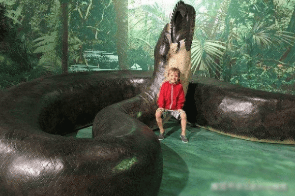 Loài rắn lớn nhất thế giới, trăn nam mỹ, thế giới động vật