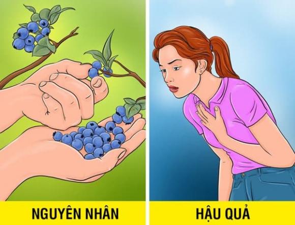 thực phẩm, thực phẩm không nên ăn nhiều, ăn nhiều thực phẩm, thực phẩm lành mạnh, thực phẩm lành mạnh không nên ăn quá nhiều