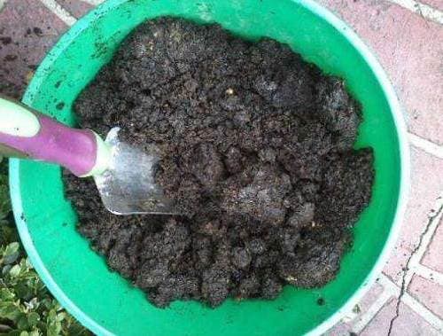 cây cảnh, kinh nghiệm trồng cây cảnh, phân bón, nguyên liệu làm phân bón