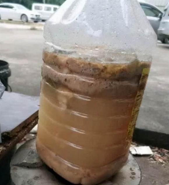 cây cảnh, kinh nghiệm trồng cây cảnh, phân bón, nguyên liệu làm phân bón