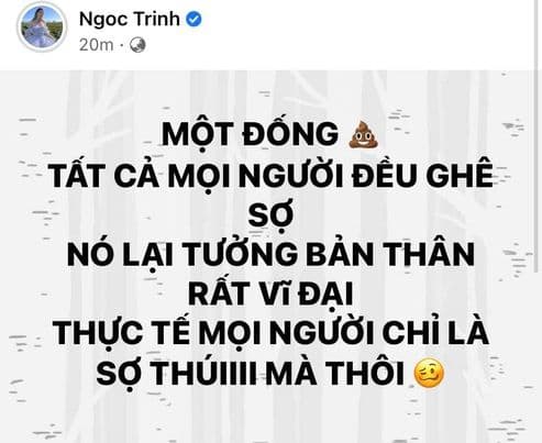 ngọc trinh, nữ hoàng nội y, vũ khắc tiệp, cướp chồng, lily chen, sao việt