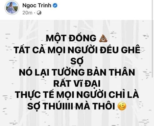 ngọc trinh, lily chen, vũ khắc tiệp, sao việt