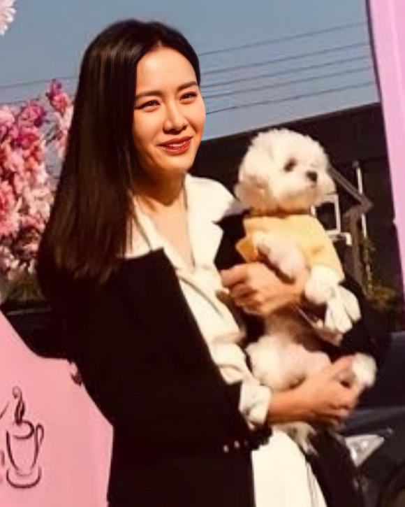 son ye jin, hyun bin, bầu bí, sao hàn 