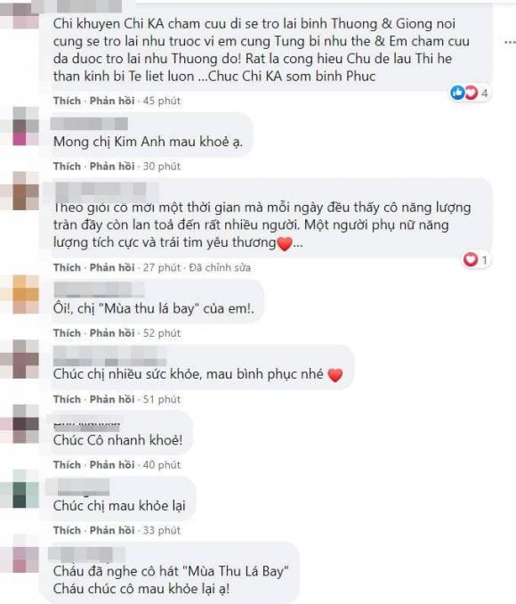 Ca sĩ Phương Trinh, Kim Anh, Trizzie Phương Trinh, Đột quỵ