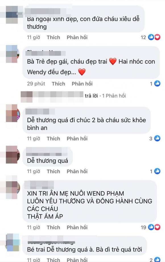 ca sĩ Phi Nhung, sao Việt