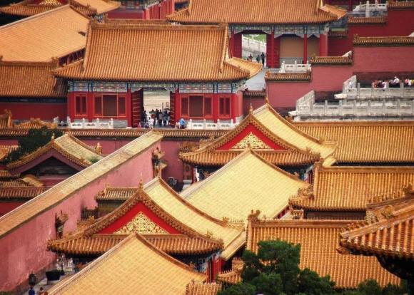 tử cấm thành, cố cung, gỗ dựng lên Tử Cấm Thành, Gỗ sử dụng trong Tử Cấm Thành,