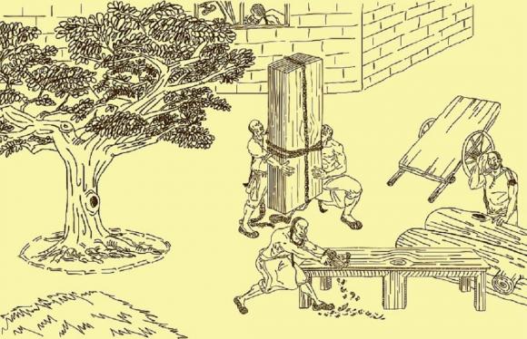 tử cấm thành, cố cung, gỗ dựng lên Tử Cấm Thành, Gỗ sử dụng trong Tử Cấm Thành,