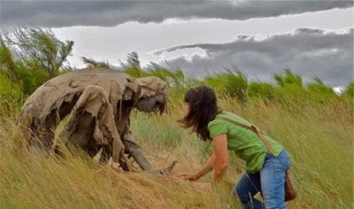 câu chuyện kỳ lạ, sinh vật kỳ lạ, kỳ quặc 4 phương