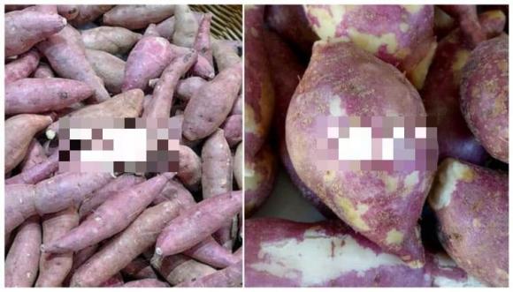 khoai lang ngon, mẹo hay gia đình, lưu ý khi mua khoai lang