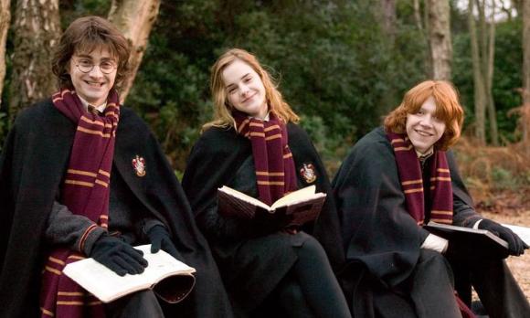 Emma Watson, Harry Potter, sao Hollywood