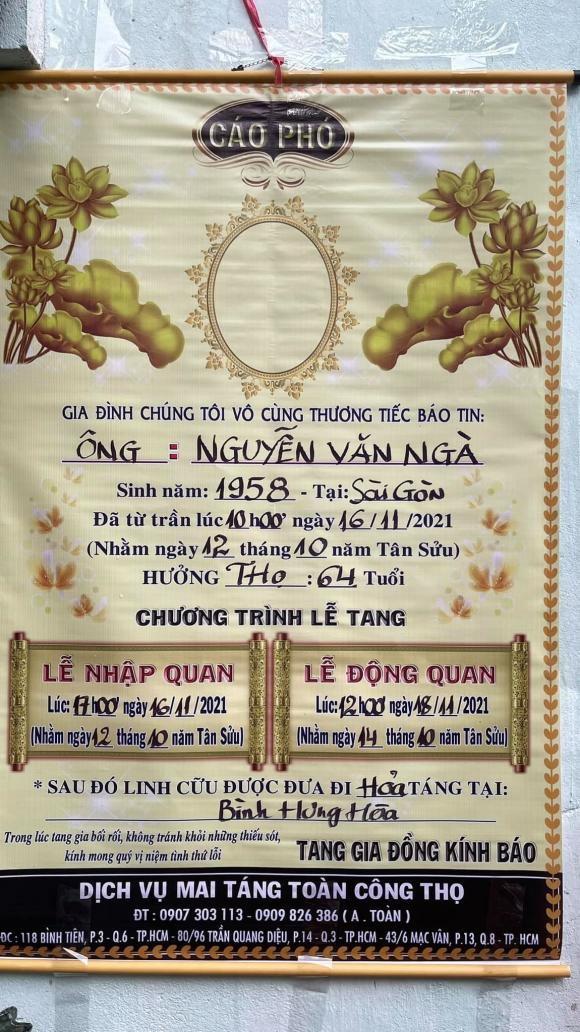 nghệ sĩ lồng tiếng Văn Ngà, sao Việt