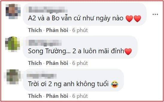 Lam Trường, Đan Trường, Sao Việt, Nam ca sĩ