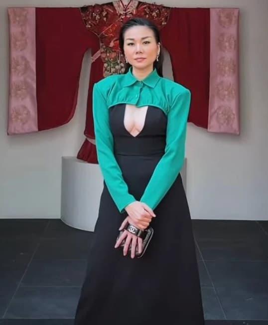 Siêu mẫu Thanh Hằng, sao Việt
