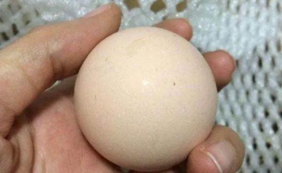 trứng, mua trứng ngon, cách chọn trứng ngon, mẹo hay, kinh nghiệm đi chợ