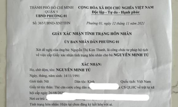 siêu mẫu Minh Tú, sao Việt