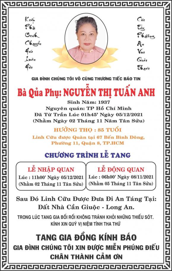 NSƯT Trịnh Kim Chi, Sao Việt