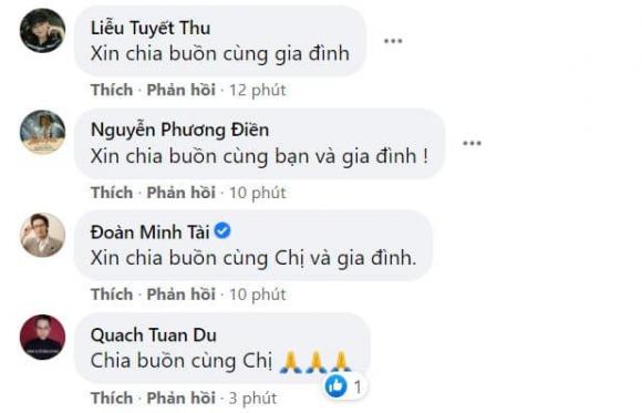 NSƯT Trịnh Kim Chi, Sao Việt