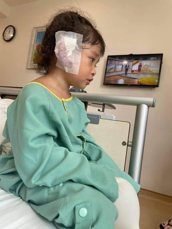 Lê Dương Bảo Lâm, con gái Lê Dương Bảo Lâm, sao Việt