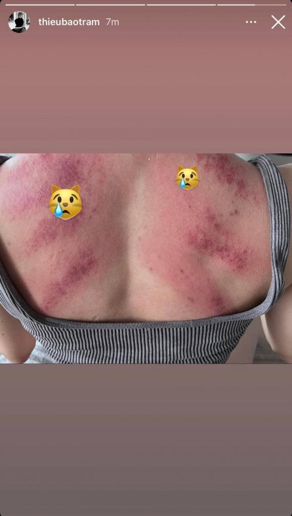 Thiều Bảo Trâm, Sao Việt, Sơn Tùng