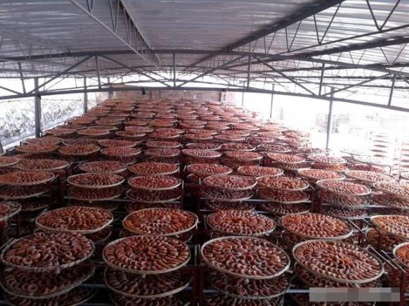 quả hồng, hồng xấy khô, hồng khô, an toàn thực phẩm