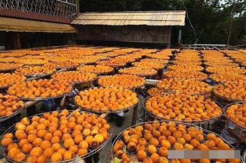 quả hồng, hồng xấy khô, hồng khô, an toàn thực phẩm