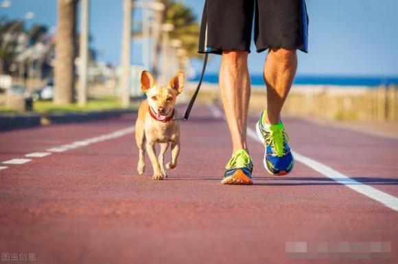 đi bộ, sức khỏe, lợi ích của đi bộ, đi bộ bao nhiêu bước mỗi ngày