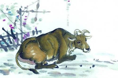 tử vi, con giáp, tháng 1