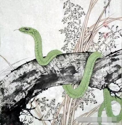 tử vi, con giáp, cung hoàng đạo