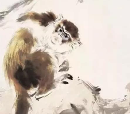 con giáp, tử vi, cung hoàng đạo