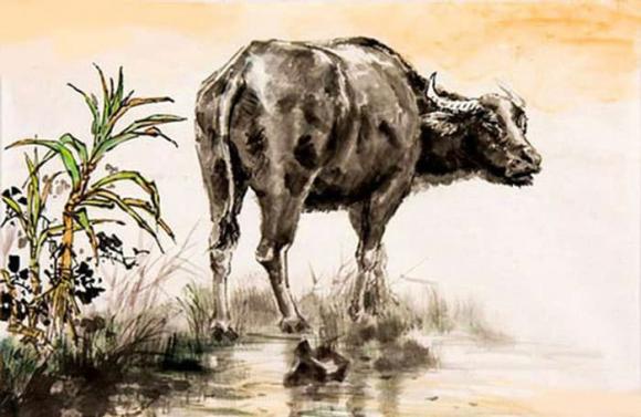 tử vi, con giáp, 2022
