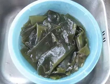 tảo bẹ, rong biển, mẹo hay