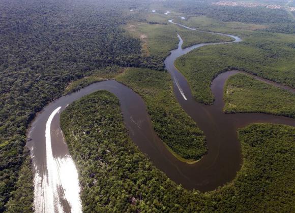 Sông Amazon, chuyện lạ