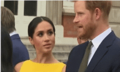Hoàng gia anh 0 Meghan Markle và Harry, Hoàng gia Anh, Meghan và Kate