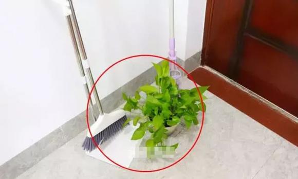 cửa nhà, phong thủy, dọn nhà